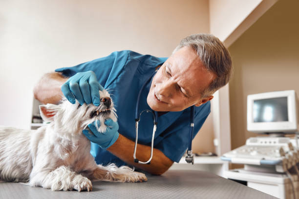 Best Emergency Tooth Extraction  in Dunnstown, PA